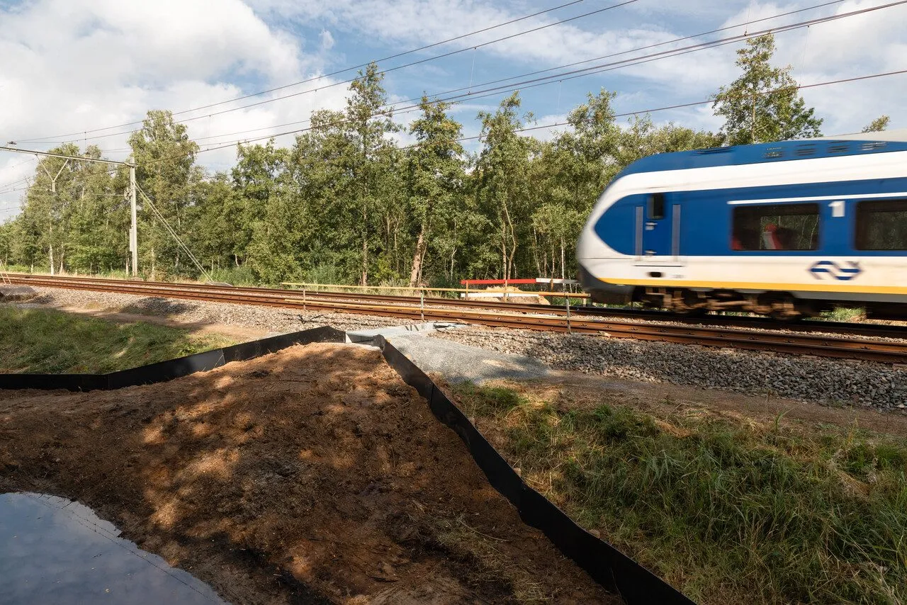 Overview of the fauna passage with retaining walls along the track as a train passes